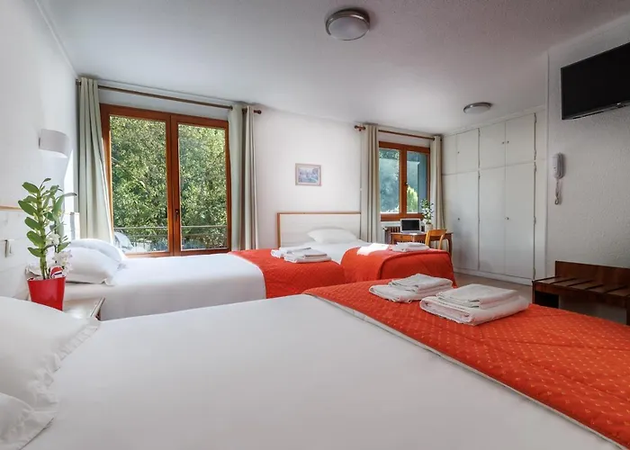 Hôtel accueillant les animaux: Hôtel Saint Clair